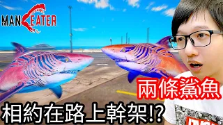 【Kim阿金】兩條鯊魚相約在路上幹架互咬!?《食人鯊 Maneater》