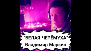 "Белая черёмуха" - Владимир Маркин (живое исполнение от КИНАМ Live - cover)