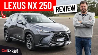 2024 Lexus NX (inc. 0-100, braking & autonomy) review