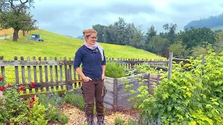 Anina Marbot führt durch ihren Bauerngarten