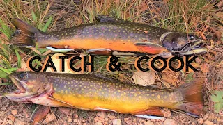 BROOK TROUT COLORADO {Catch, Clean & Cook}