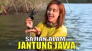 [FULL] JEJAK PETUALANG | SAJIAN ALAM JANTUNG JAWA (01/12/20)