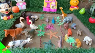 "Wild Zoo, Sea, and Farm Animals Muddy Adventure | Fun Learning for Kids | dino World TV"