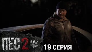 Сериал Пес - 2 сезон - 19 серия