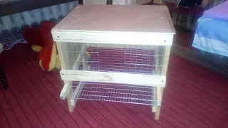 Клетка для перепелов самодельная. Cage for quail.