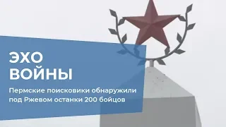 Пермские поисковики обнаружили под Ржевом останки 200 бойцов