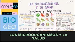 Los Microorganismos y la Salud