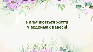 Як змінюється життя у водоймах навесні. 2 клас