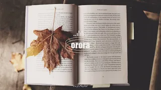 【𝟖 𝐡𝐨𝐮𝐫 𝐏𝐋𝐀𝐘𝐋𝐈𝐒𝐓】 🍁가을은 독서의 계절📚 | 어디든 분위기 좋은 카페로 만들어주는 Lo-fi Playlist🎹 | Autumn Study Lo-fi