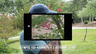 Olympus 100-400mm f5-6.3 IS demonstration vs. Sync IS