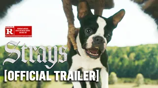 Strays - *NEW* Official Red Band Trailer 2 Starring Jamie Foxx & Will Ferrell