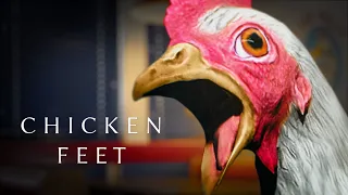 Big Evil Chicken! | Horror Game “Chicken Feet”