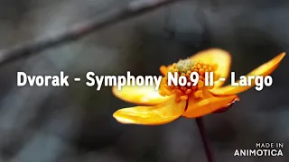 Dvorak - Symphony No.9 II - Largo (Flute)
