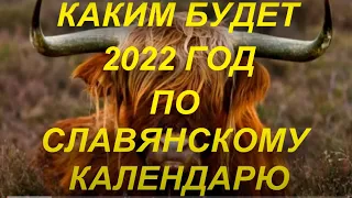 Каким будет 2022 год по славянскому календарю.Что ждать. Год Златорогого Тура . 2022 год.