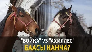 Көкбөрү: "Ахиллес" vs "Бойка" баасы канча?