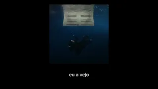 Billie Eilish - WILDFLOWER [Tradução Legendado pt br]