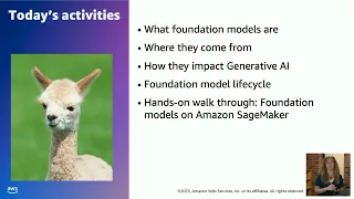 Generative AI Foundations on AWS | Part 1: Introduction to foundation models