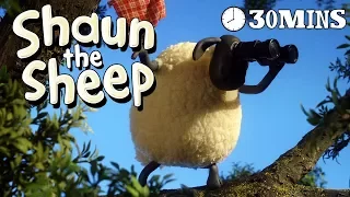 Shaun the Sheep - Season 3 - Episodes 11-15 [30 MINS]