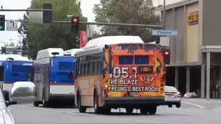 FAX Buses 1105, 1402, & 0317 (Gillig & Orion)