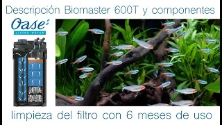 Oase Biomaster 600T -  Descripción , prueba de filtrado y limpieza del filtro despues de 6 meses de