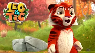 The Funny Adventures of Leo and Tig 🦁 Autumn Fun 🐯 Kids' Favorite Animated Cartoon