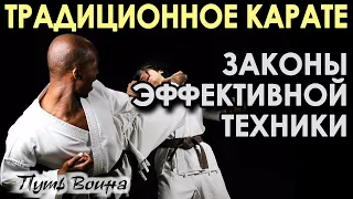 Традиционное Карате: законы эффективной техники.