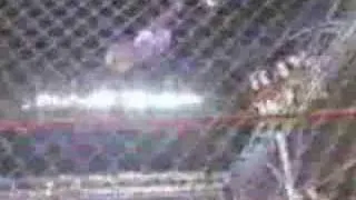Jeff Hardy Swanton Bomb off Steel Cage