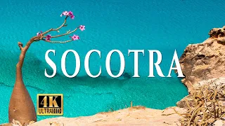 The spring in Socotra, Yemen / Весна на Сокотре UHD 4K (EN, LV subtitles)