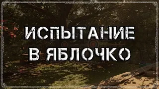 Shadow of the Tomb Raider | Испытание "В яблочко"