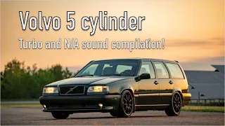 Volvo 5-cylinder Turbo and NA sound – BRUTAL STRAIGHT PIPE SOUND!