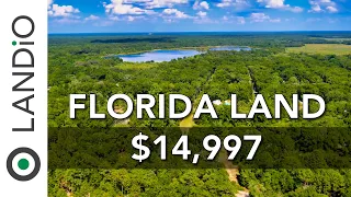 LANDIO • SOLD • Florida Land for Sale near Ocala National Forest