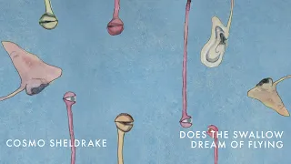 Cosmo Sheldrake - Does the Swallow Dream of Flying
