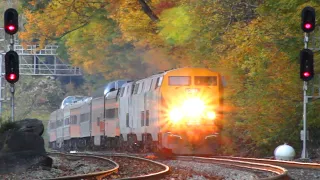 The 2022 Autumn Colors Express!