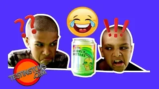Poopsie Sparkly Critters | Boys Funny Reactions With TestingToys.com