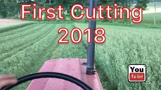 IH 986 Mowing Hay