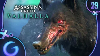 ASSASSIN'S CREED VALHALLA FR #29 : Un loup gigantesque !