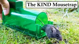 The KIND Mouse Trap (With Buzzer Attachment). Mousetrap Monday