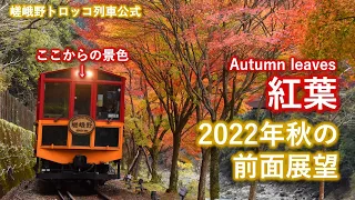 2022年秋 SK運転台からの前面展望動画 (The front view of Sagano Romantic Train in autumn, 2022)