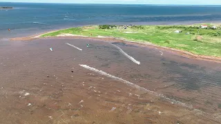 Kite Point, Malpeque Bay, PEI Kiteboarding Summer 2023