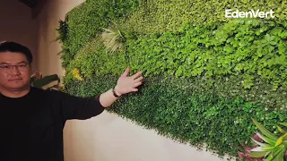 How to install artificial plants/artificial hedge mats for home decoration by EdenVert