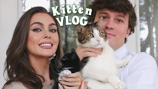 RESCUE KITTEN VLOG🍼 a tiny kitten's journey🐈‍⬛