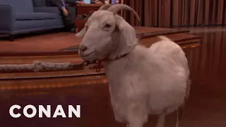 Conan's $750 Goat | CONAN on TBS