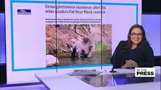 'Ursus gluttonous maximus': Alaska picks its beefy brown bear • FRANCE 24 English