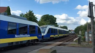 Bahnübergang in Bramsche Züge am Dienstag 25.7.2023 Nordwestbahn Dreifachtraktion