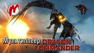 ✈ Мультиплеер Divinity: Dragon Commander