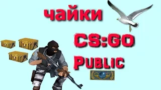 CS:GO Public (ЧАЙКИ) #1