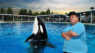 Dine with Orcas At SeaWorld Orlando Florida Review