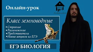 Класс земноводные (амфибии) для ЕГЭ |ЕГЭ Биология| Freedom bio