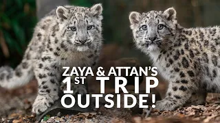 Zaya & Attan's 1st TRIP OUTSIDE!