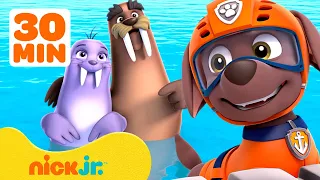 PAW Patrol Wally & Walinda's Best Water Moments! w/ Zuma 🌊 30 Minute Compilation | Nick Jr.